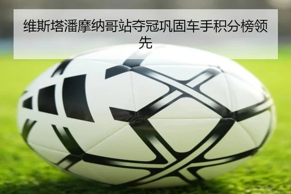 维斯塔潘摩纳哥站夺冠巩固车手积分榜领先