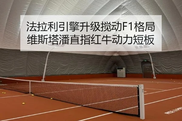 fa-la-li-yin-qing-sheng-ji-jiao-dong-ge-ju-wei-si-ta-pan-zhi-zhi-hong-niu-dong-li-duan-ban-3-703.jpg